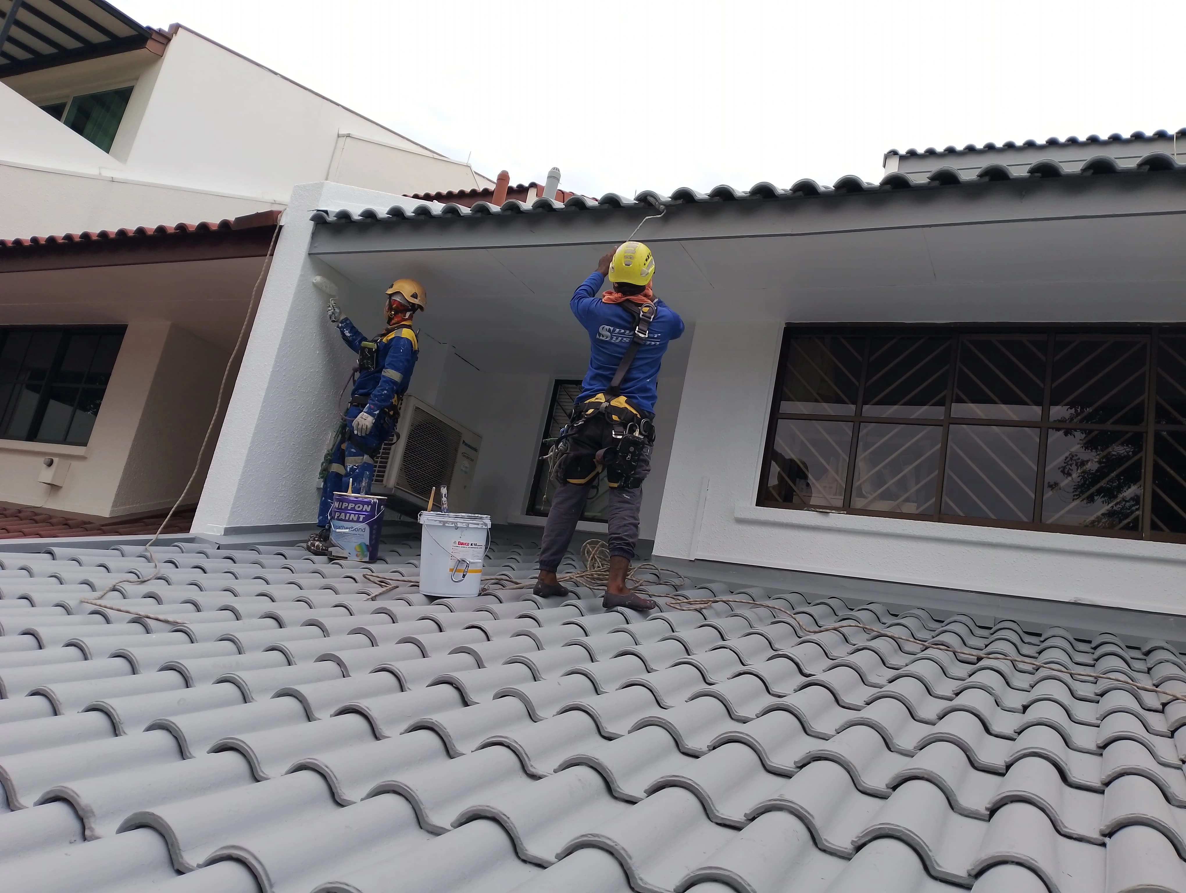 External Wall Painting & Protective Coatings